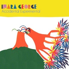 Accidental Experimental mp3 Album by Inara George