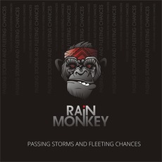 Passing Storms and Fleeting Chances mp3 Album by Rain Monkey