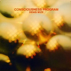 Consciousness Program mp3 Album by Dennis Weise