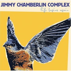 Life Begins Again mp3 Album by Jimmy Chamberlin Complex