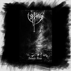 Animus Meus mp3 Album by Cerphas