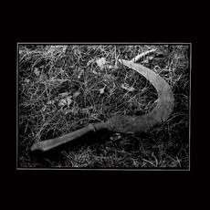 Herbst mp3 Album by Fields of Mildew