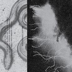 Simulated Thunderstorm mp3 Album by Rainforest Spiritual Enslavement