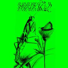 Green Amulet Crafts Supernatural Qualities mp3 Album by Rainforest Spiritual Enslavement