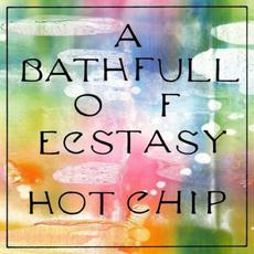 A Bath Full of Ecstasy mp3 Album by Hot Chip