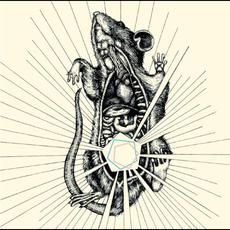 River, Bear Your Bones mp3 Album by Capricorns