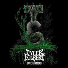 Underdog mp3 Album by Tyler Gilbert