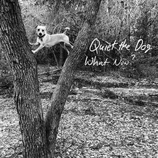 What Now? mp3 Album by Quiet The Dog