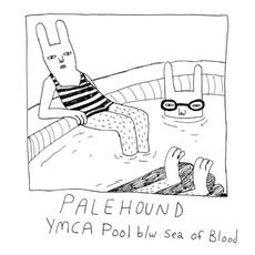 YMCA Pool mp3 Single by Palehound