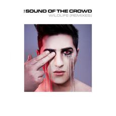 Wildlife (Remixes) mp3 Remix by The Sound of The Crowd