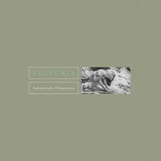 Industriale illuminato mp3 Album by Lussuria