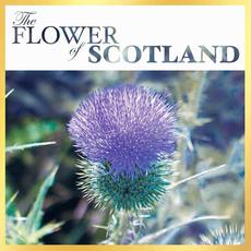The Flower of Scotland mp3 Compilation by Various Artists
