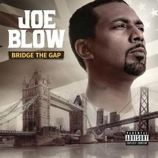 Bridge The Gap mp3 Album by Joe Blow