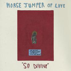 So Divine mp3 Album by Horse Jumper of Love