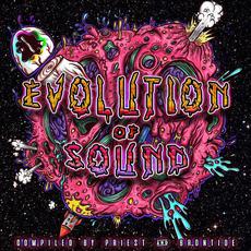 Evolution of Sound mp3 Compilation by Various Artists