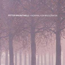 Normal for Bridgwater mp3 Album by Peter Bruntnell