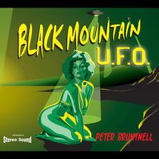 Black Mountain U.F.O. mp3 Album by Peter Bruntnell