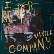 I Never Wanted Company mp3 Album by Ramonda Hammer