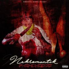 Nekromantik mp3 Album by Phsycho 666