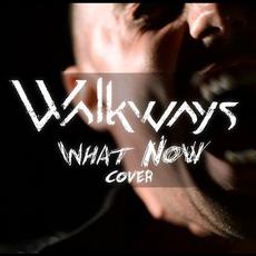 What Now mp3 Single by Walkways