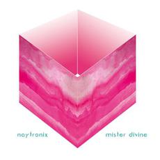 Mister Divine mp3 Album by Naytronix