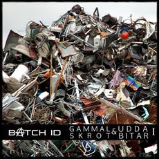 Gammal skrot och udda bitar 1 mp3 Artist Compilation by Batch ID