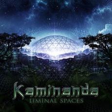 Liminal Spaces mp3 Album by Kaminanda
