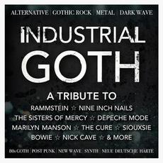 Industrial Goth: A Tribute To Rammstein, Nine Inch Nails, The Sisters Of Mercy, Depeche Mode, Marilyn Manson, The Cure... mp3 Compilation by Various Artists