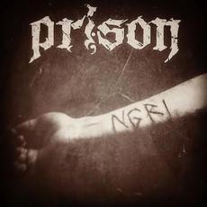N.G.R.I. mp3 Album by Prison