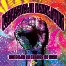 Psychedelic Revolution mp3 Compilation by Various Artists