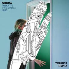 What's It Gonna Be? (Tourist Remix) mp3 Remix by Shura