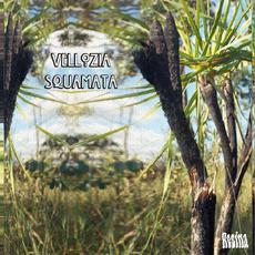 Vellozia Squamata mp3 Compilation by Various Artists