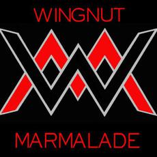 What's Next mp3 Album by Wingnut Marmalade