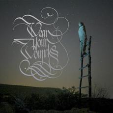 WYW mp3 Album by Wear Your Wounds