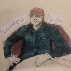 Common Law mp3 Album by Tom VandenAvond