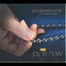 Joy Is Now mp3 Album by GuruGanesha Singh & Snatam Kaur