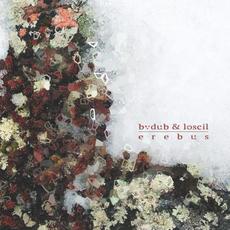 Erebus mp3 Album by bvdub & Loscil