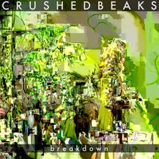Breakdown mp3 Single by Crushed Beaks