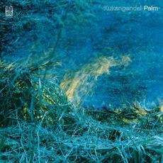 Palm mp3 Album by Kukangendai (空間現代)