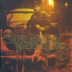 Madness & Grace mp3 Album by Hellsingland Underground