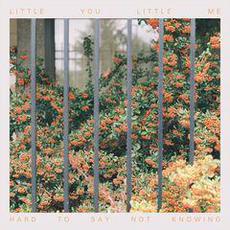 Hard To Say, Not Knowing mp3 Album by Little You, Little Me