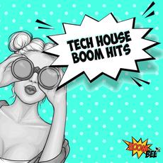 Tech House Boom Hits mp3 Compilation by Various Artists