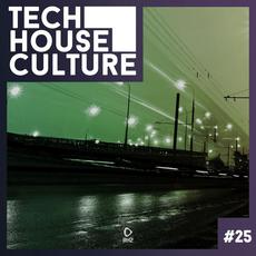 Tech House Culture #25 mp3 Compilation by Various Artists