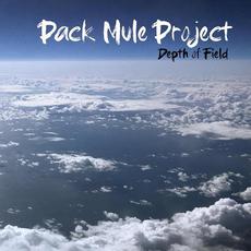 Depth of Field mp3 Album by Pack Mule Project