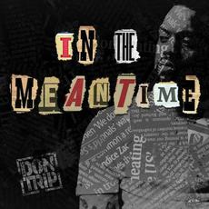 In The Meantime mp3 Album by Don Trip