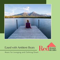 Eased with Ambient Beats mp3 Compilation by Various Artists