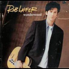 Wonderwood mp3 Album by Rob Laufer