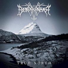 True North mp3 Album by Borknagar