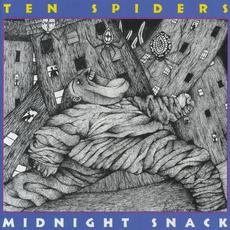 Midnight Snack mp3 Album by Ten Spiders