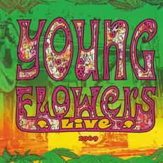 Live 1969 mp3 Live by Young Flowers